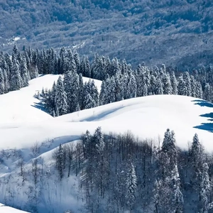 欧美乱伦动态视频
